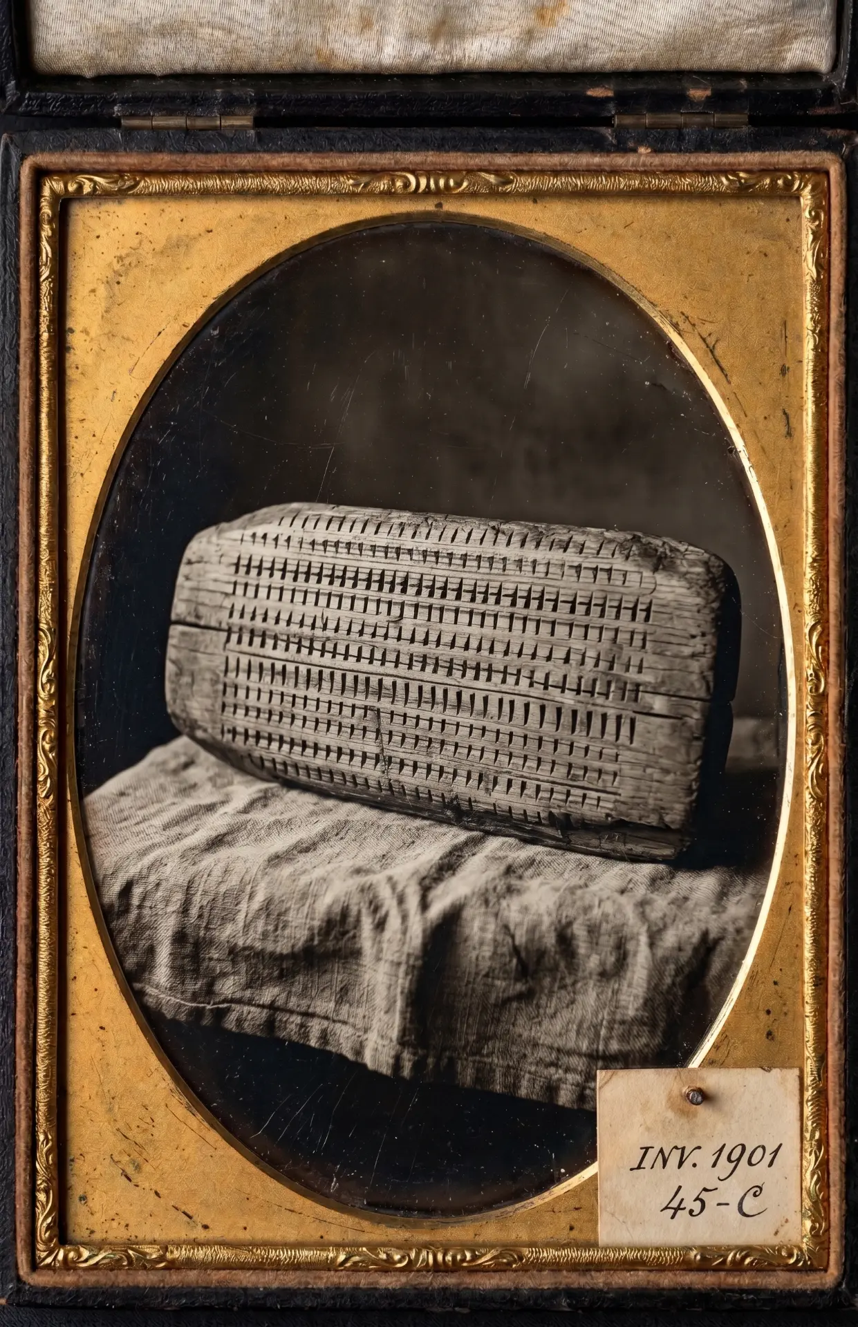Het grootjuk: verweerd melkjuk vol kerven in een fotocassette, 1901